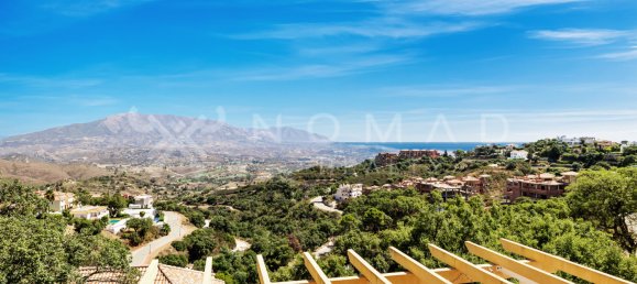 5 chambres Villa à Marbella, Spain No. 36907 15