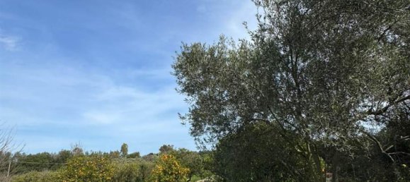 2 غرف نوم فيلا في Carlentini, Italy رقم 275537 17