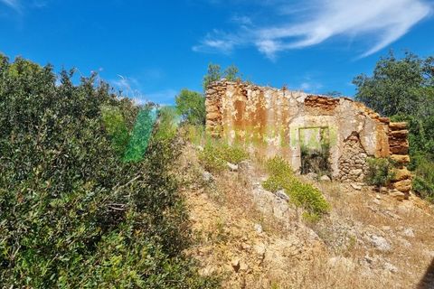 7760m² Land in Silves, Portugal No. 223015