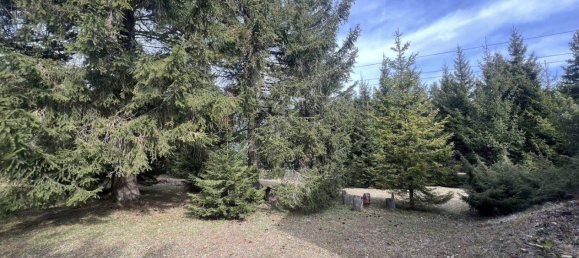 2غرفة منزل في Hohe Wand, Austria رقم 192569 6