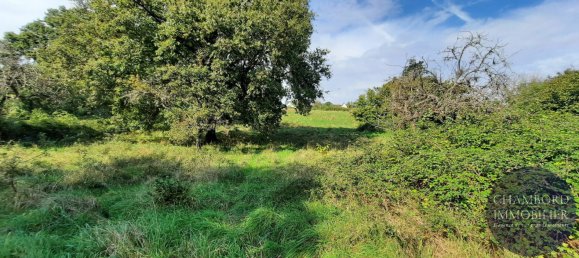 3 bedrooms House in Loir-et-Cher, France No. 154137 12