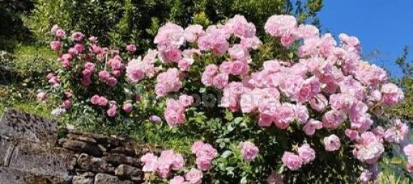 5 bedrooms House in Castiglione dei Pepoli, Italy No. 300935 17