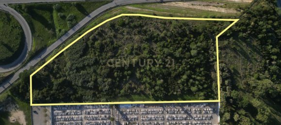 21340m² Land in Figueira da Foz, Portugal No. 133172 2
