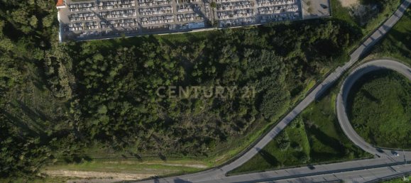 21340m² Land in Figueira da Foz, Portugal No. 133172 14