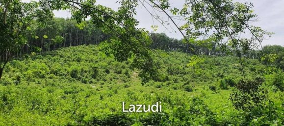  Commercial property in Bang Tao, Thailand No. 19336 9