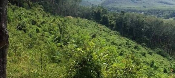  Commercial property in Bang Tao, Thailand No. 19336 10