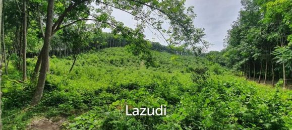  Commercial property in Bang Tao, Thailand No. 19336 8