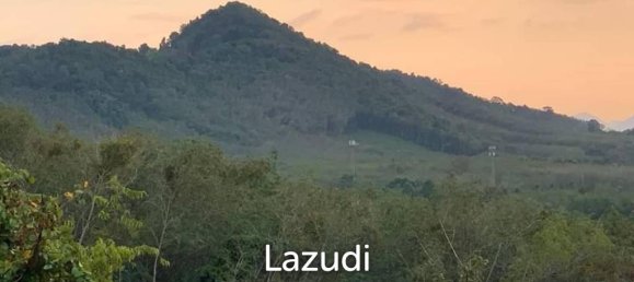  Commercial property in Bang Tao, Thailand No. 19336 7