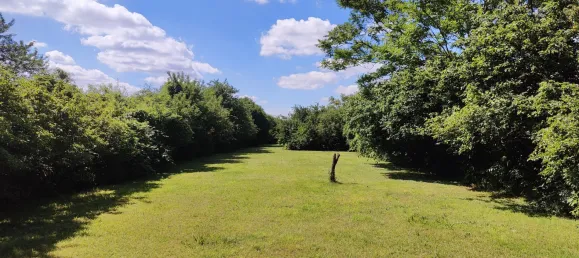 5 rooms Castles in Vienna, Austria No. 249475 4