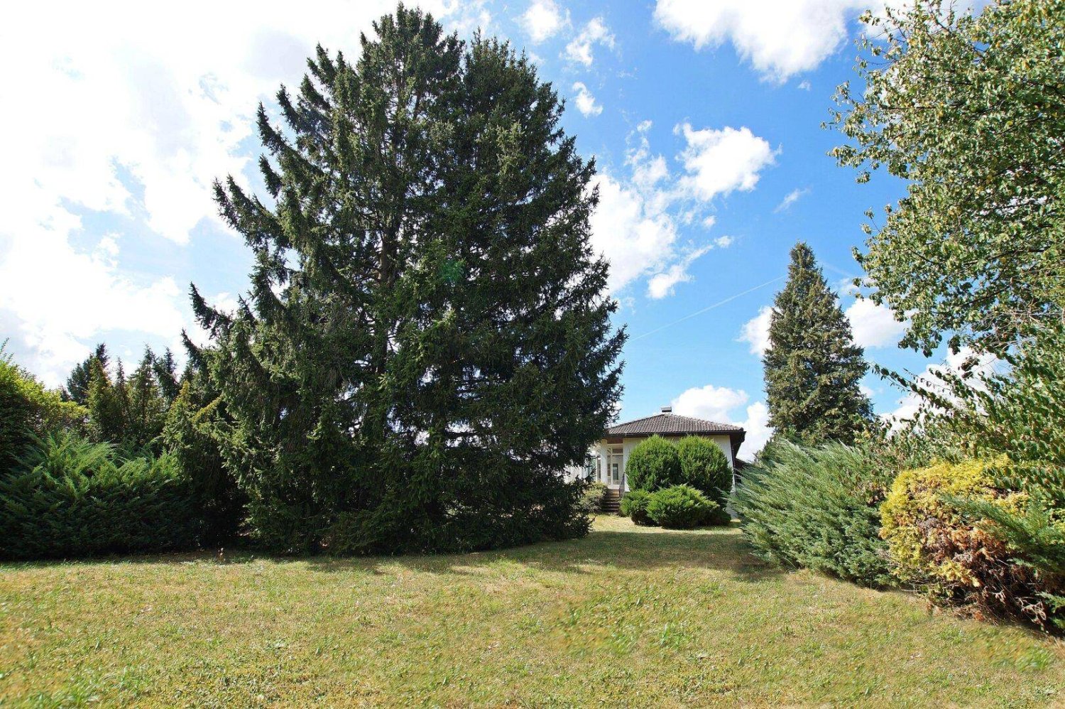 4 rooms Bungalow in Seefeld-Kadolz, Austria No. 30813