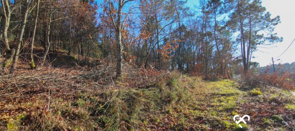 Land in Viseu, Portugal No. 70657 4