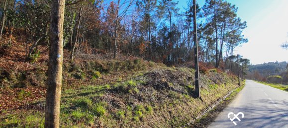 Land in Viseu, Portugal No. 70657 3