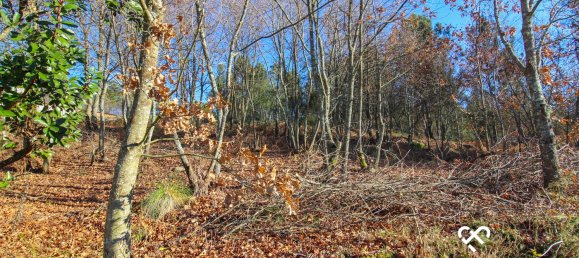 Land in Viseu, Portugal No. 70657 5