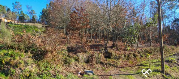 Land in Viseu, Portugal No. 70657 2