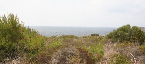  Land in Santanyi, Spain No. 168265 3