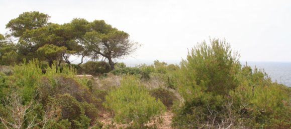 Land in Santanyi, Spain No. 168265 4