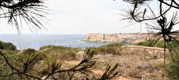  Land in Santanyi, Spain No. 168265 5