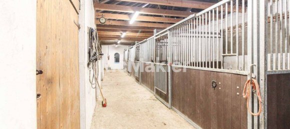 6 bedrooms Farm in Leer, Germany No. 333868 18