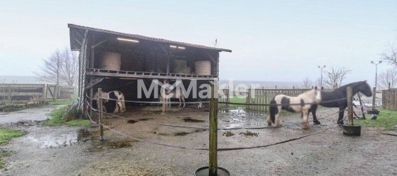6 bedrooms Farm in Leer, Germany No. 333868 21