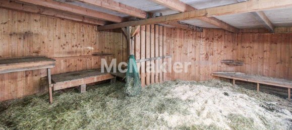 6 bedrooms Farm in Leer, Germany No. 333868 19