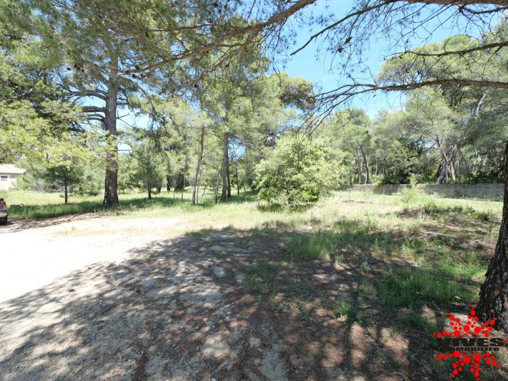 5 chambres Maison à Occitanie, France No. 360886