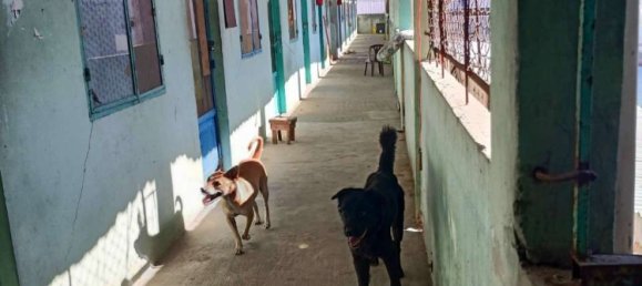 781m² Townhouse in District 7, Vietnam No. 15687 3