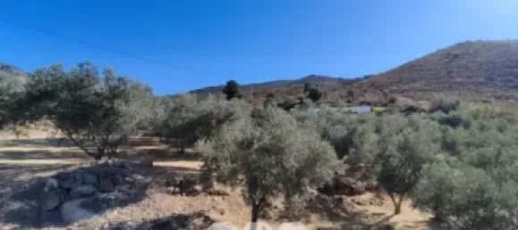 4 bedrooms House in Alcaucin, Spain No. 51508 6