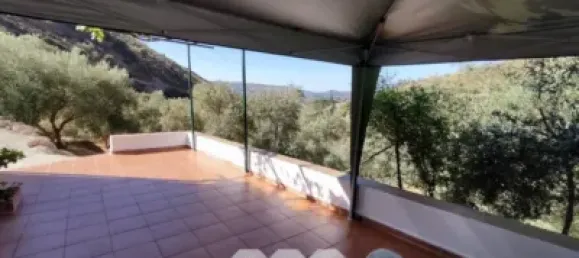 4 bedrooms House in Alcaucin, Spain No. 51508 13