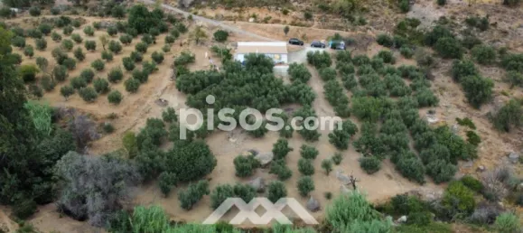 4 bedrooms House in Alcaucin, Spain No. 51508 39