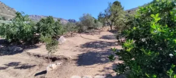 4 bedrooms House in Alcaucin, Spain No. 51508 4