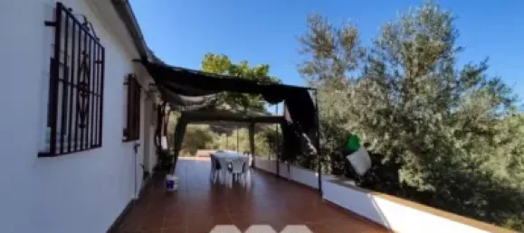 4 bedrooms House in Alcaucin, Spain No. 51508 11