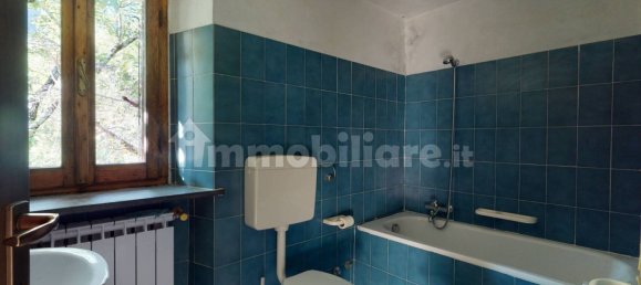 1 bedroom House in Fabbriche di Vergemoli, Italy No. 233358 19
