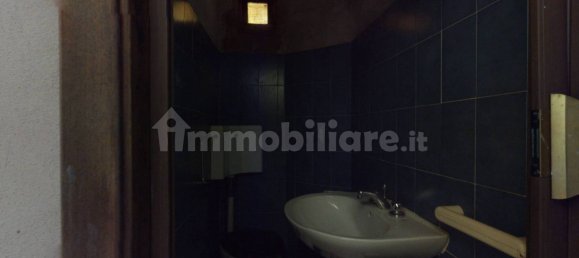 1 bedroom House in Fabbriche di Vergemoli, Italy No. 233358 8