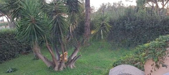 3 chambres Villa à Rome, Italy No. 371517 24