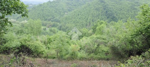 Estúdio em San Vito Romano, Italy N.º 234773 6