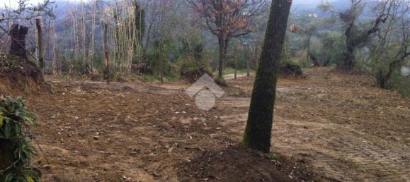 Estúdio em San Vito Romano, Italy N.º 234773 23