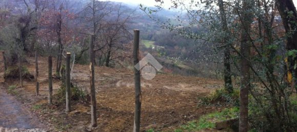 Estúdio em San Vito Romano, Italy N.º 234773 2