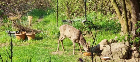 4 rooms House in Brandenburg, Germany No. 45086 9