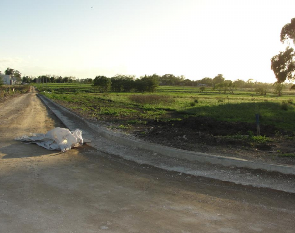  Land in Campo Creado, Argentina No. 43524