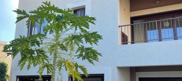 4 chambres Propriété commerciale à Germasogeia, Cyprus No. 19644 2