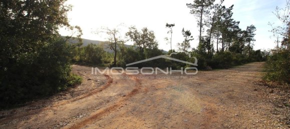 28960m² Land in Porto de Mos, Portugal No. 131312 19