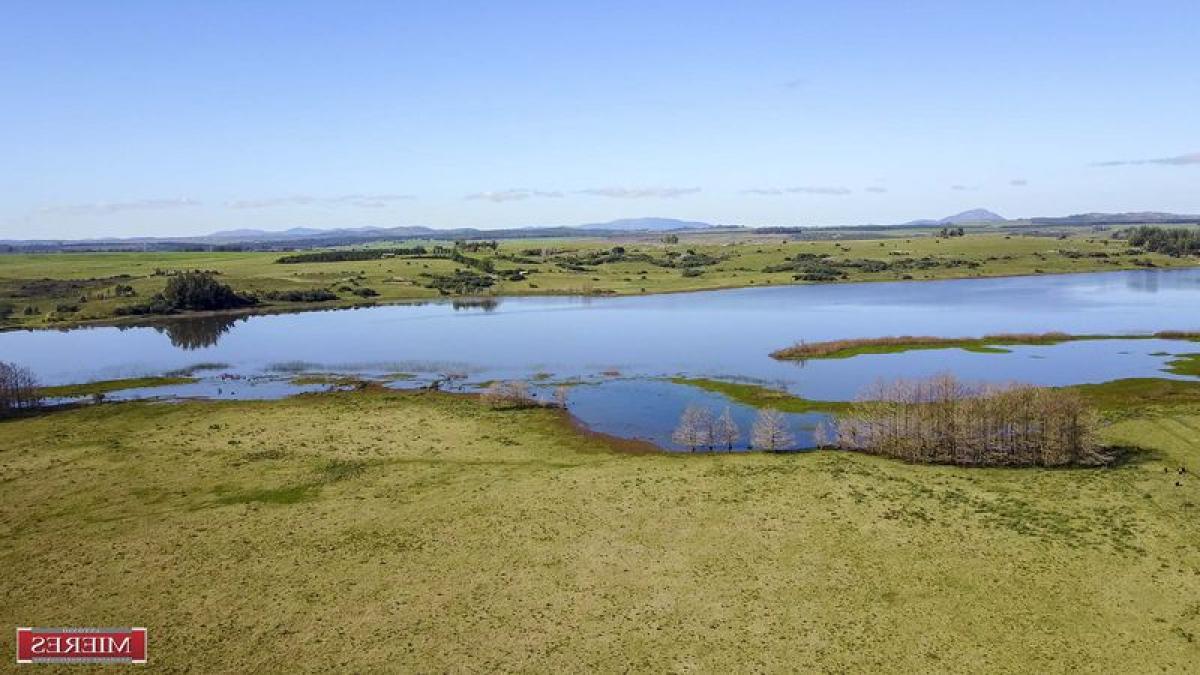  مزرعة في Maldonado, Uruguay رقم 15638