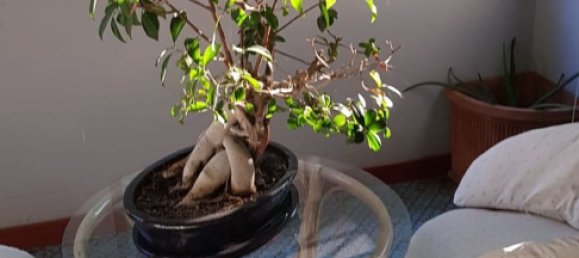 5 bedrooms Apartment in Naples, Italy No. 311582 29