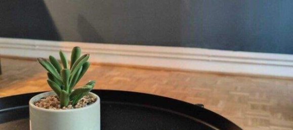 3-Zimmer Wohnung in Favoriten, Austria, Nr. 33530 11