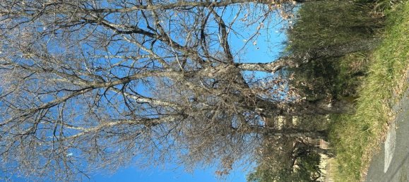 Casa de 8 divisões em Lauria, Italy N.º 41563 32