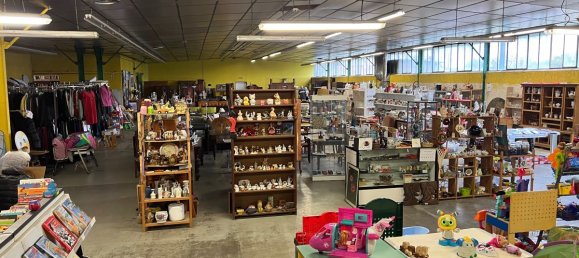 Gewerbliche Immobilie in Lussac-les-Chateaux, France, Nr. 198448 4