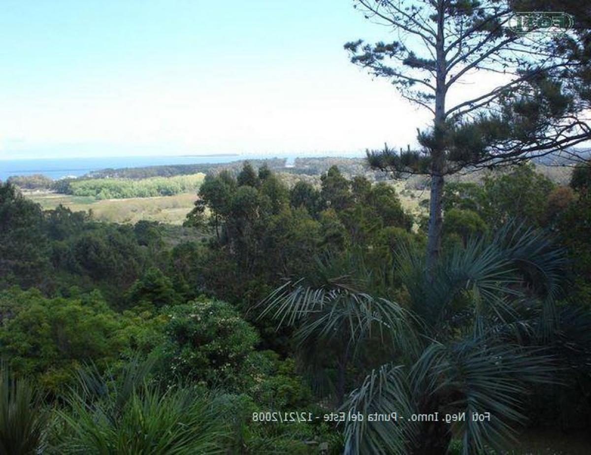 5 Schlafzimmer Haus in Maldonado, Uruguay, Nr. 11158