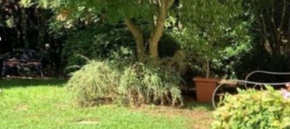 5 rooms Villa in Dorno, Italy No. 105478 8