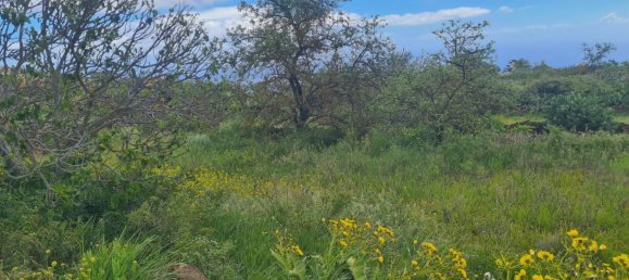  قطعة أرض في El Hierro, Spain 2398متر مربع رقم 89704 9