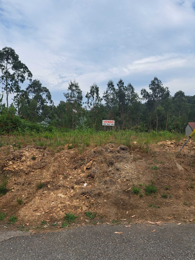  Land in Milheiros de Poiares, Portugal No. 236048